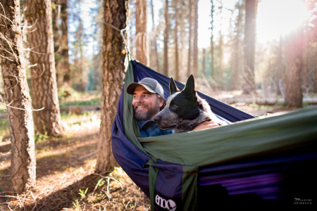 Scent detection dog (canis lupus familiaris) Pips and handler Heath Smith relax in a hammock during a day off in Dinkey Creek, California. The team has been surveying for Pacific fisher, which is under consideration as an endangered species.