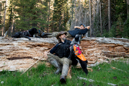 Field technicians Caleb Staneck and Heath Smith rest near a meadow in California’s Sierra Nevada mountains with scent detection dogs (canis lupus familiaris) Winnie and Pips. The teams survey for Pacific fisher, which is under consideration as an endangered species. The team is part of University of Washington Center for Conservation Biology’s Conservation Canines program.