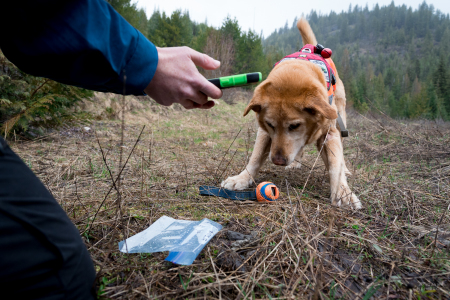 Field technician Rachel Katz recording a sample found by scent detection dog Chester, Conservation Canines, University of Washington's Center for Conservation Biology, Washington