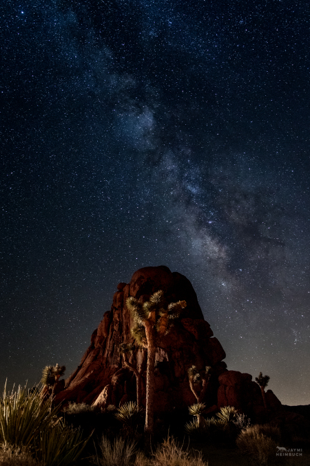 Milky way over granite rock and joshua trees (Yucca brevifolia), Joshua Tree National Park, California