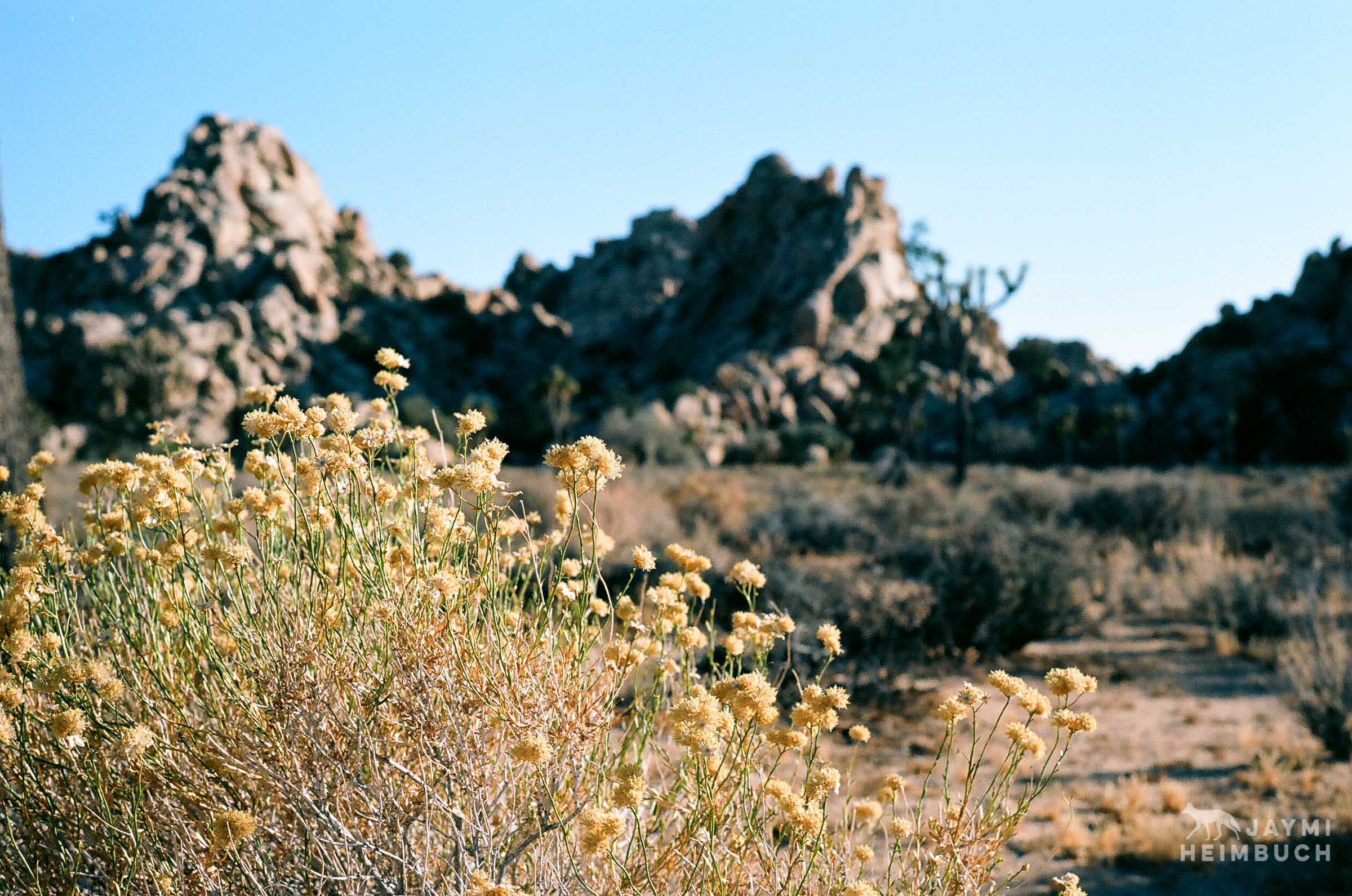 35mm film landscape photograph