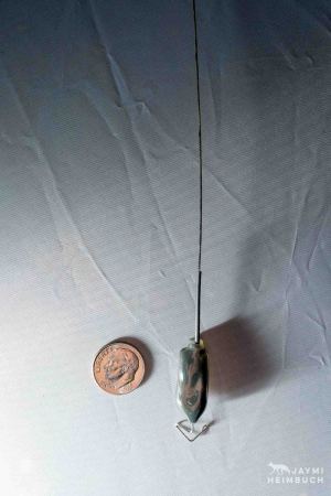 GPS locator tag used on marbled murrelets, compared to a U.S. dime.
