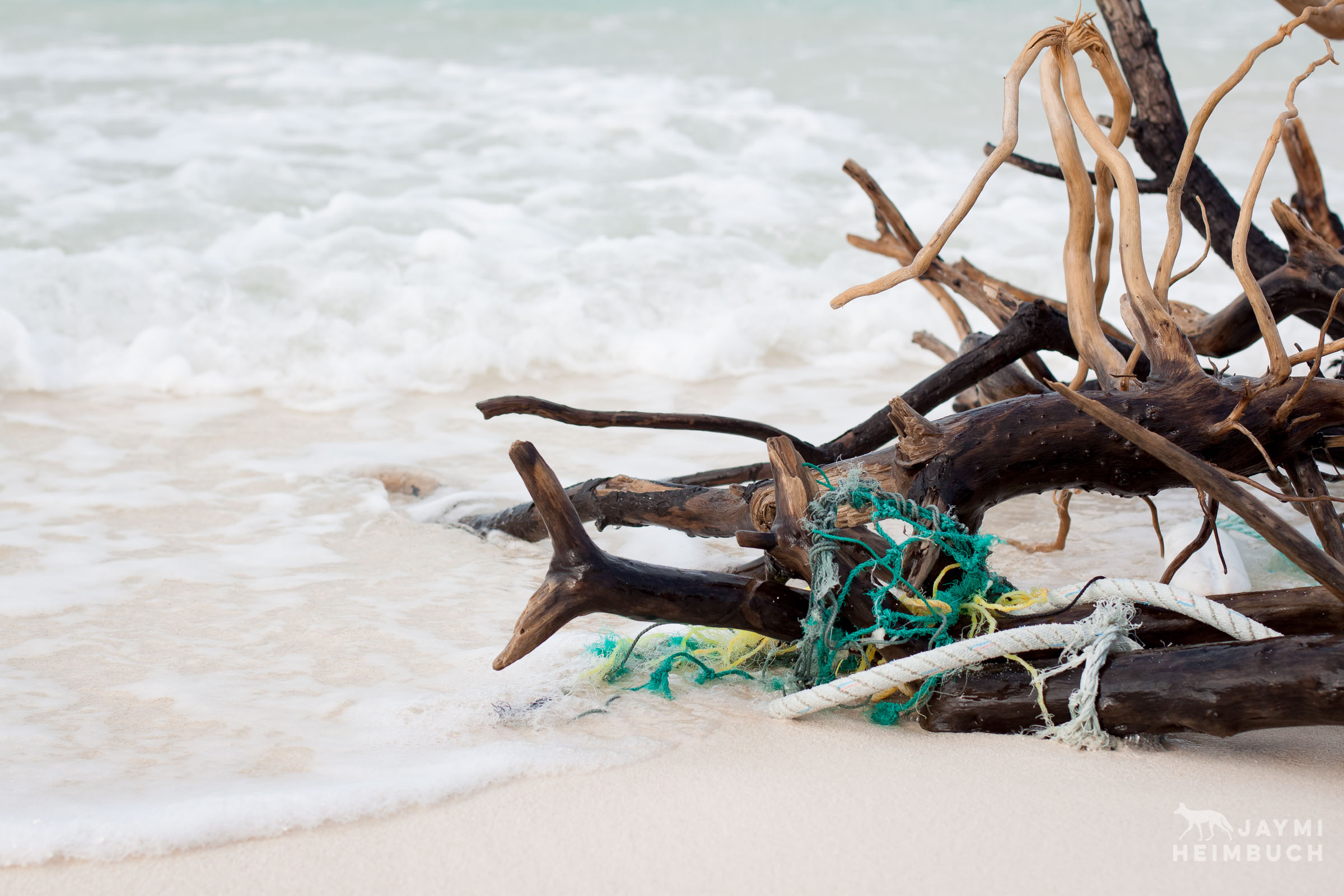 Discarded ropes are wrapped around driftwood on a beach